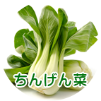 ちんげん菜